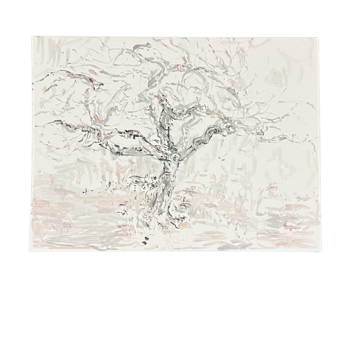 The Fig Tree in Winter