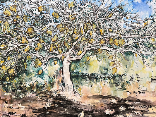 The Fig Tree