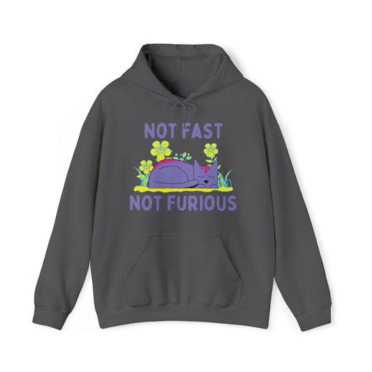 Not Fast Not Furious Hoodie - Arjuna Rigby Art and Lifestyle Store