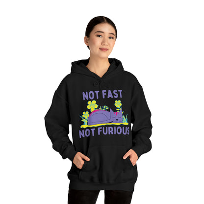 Not Fast Not Furious Hoodie - Arjuna Rigby Art and Lifestyle Store
