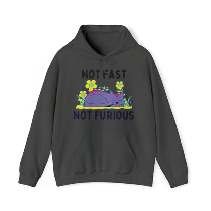 Not Fast Not Furious Hoodie - Arjuna Rigby Art and Lifestyle Store