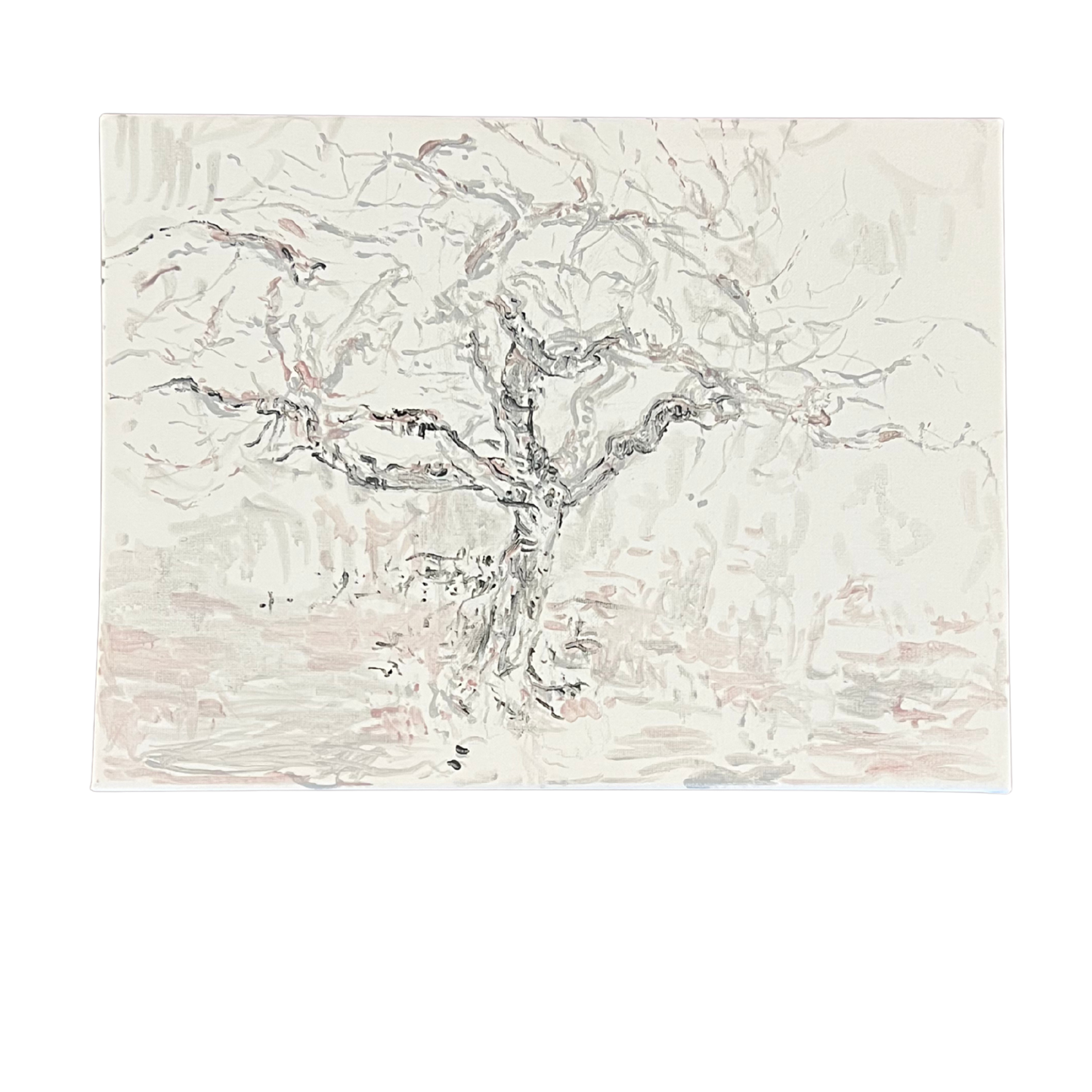 The Fig Tree in Winter