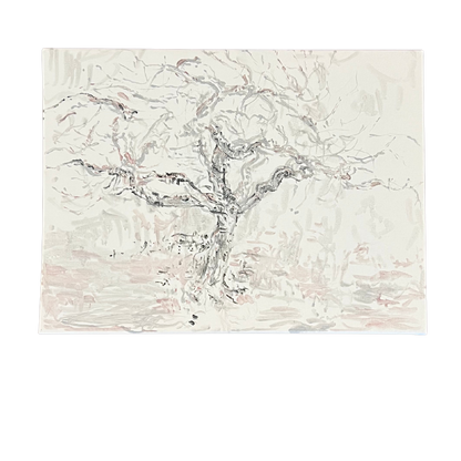 The Fig Tree in Winter