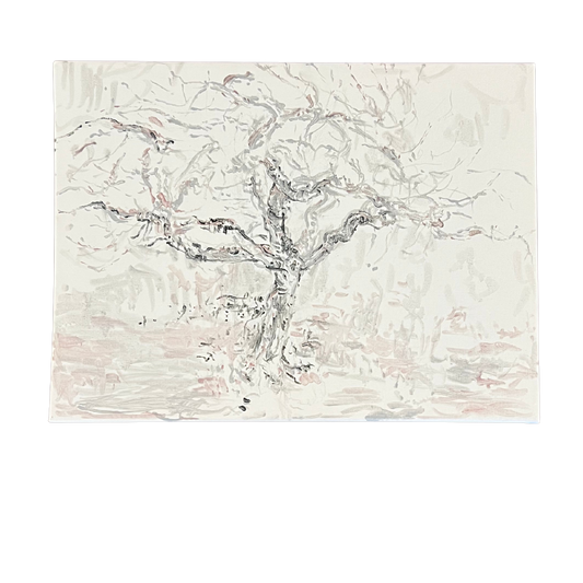 The Fig Tree in Winter