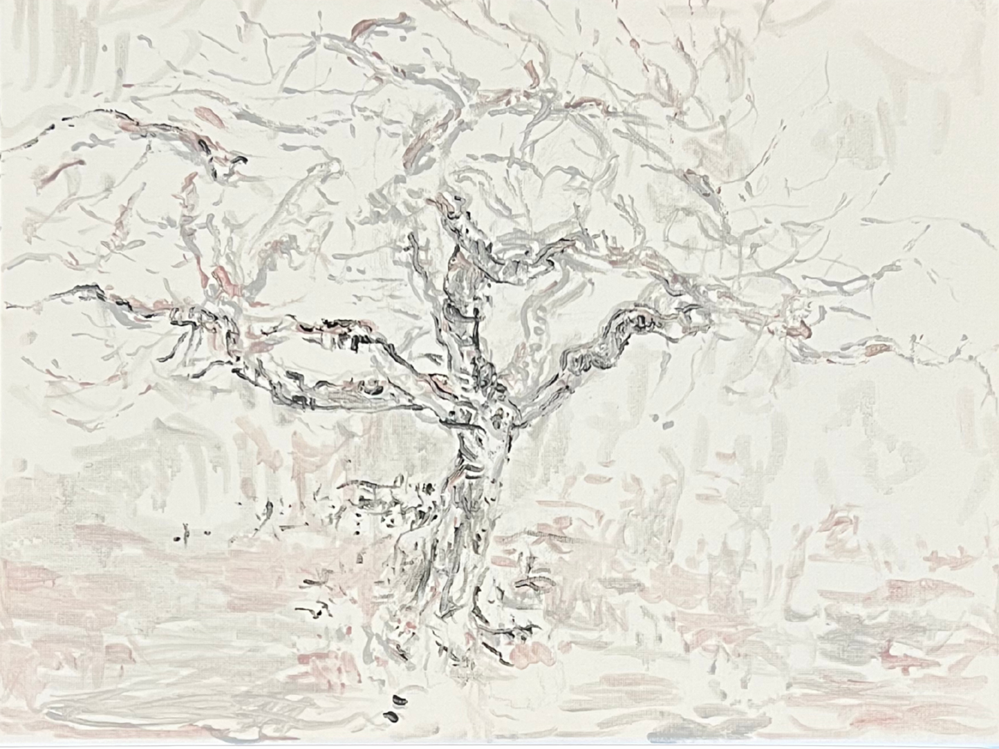 The Fig Tree in Winter